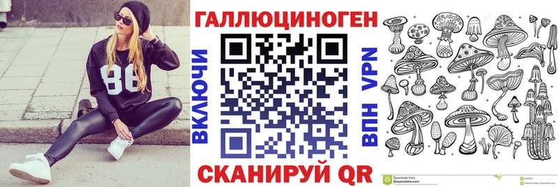 наркотики Нюрба Галлюциногенные грибы Cubensis